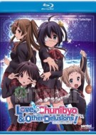 Love, Chunibyo and Other Delusions!